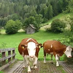 Apartamento Bad Kleinkirchheim Bio Naturhof Ottingerhof