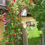 Bad Kleinkirchheim Bio Naturhof Ottingerhof Apartamento *