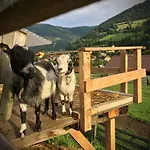 Apartamento Bad Kleinkirchheim Bio Naturhof Ottingerhof *