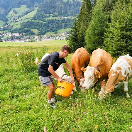 Bio Naturhof Ottingerhof Appartamento *