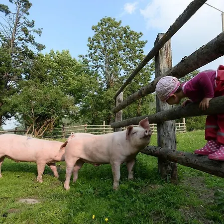Skihomes Ottingerhof In -ski Out