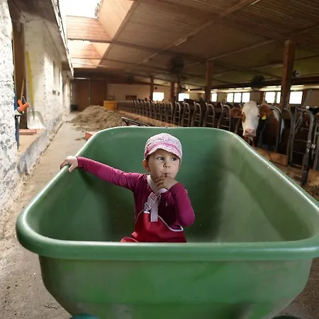 Appartement Skihomes Ottingerhof In -ski Out