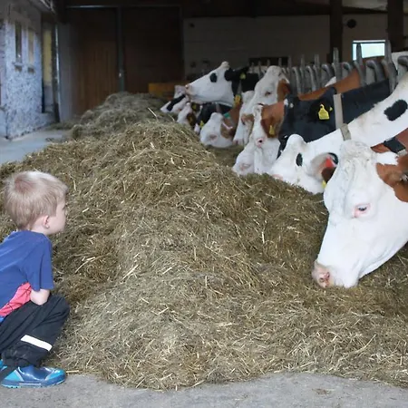 Skihomes Ottingerhof In -ski Out Bad Kleinkirchheim