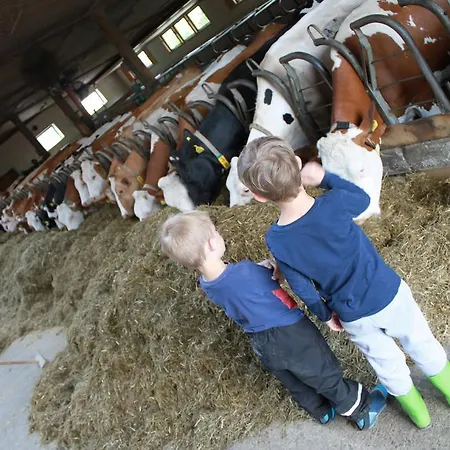 Appartement Skihomes Ottingerhof In -ski Out