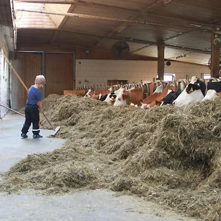 Bio Naturhof Ottingerhof Бад-Кляйнкірхгайм