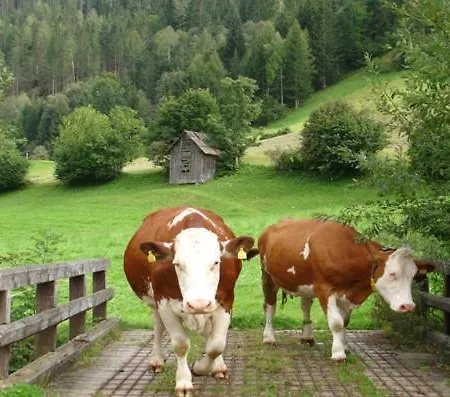 Apartment Bad Kleinkirchheim Bio Naturhof Ottingerhof