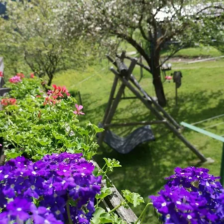 Bad Kleinkirchheim Bio Naturhof Ottingerhof Apartment