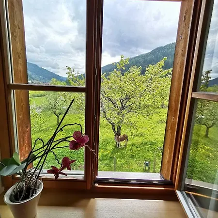 Bad Kleinkirchheim Bio Naturhof Ottingerhof