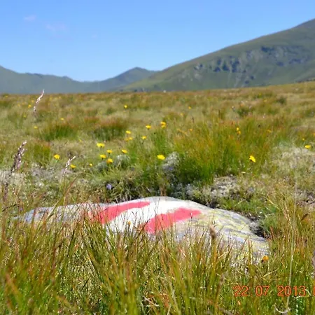 Skihomes Ottingerhof In -ski Out Bad Kleinkirchheim