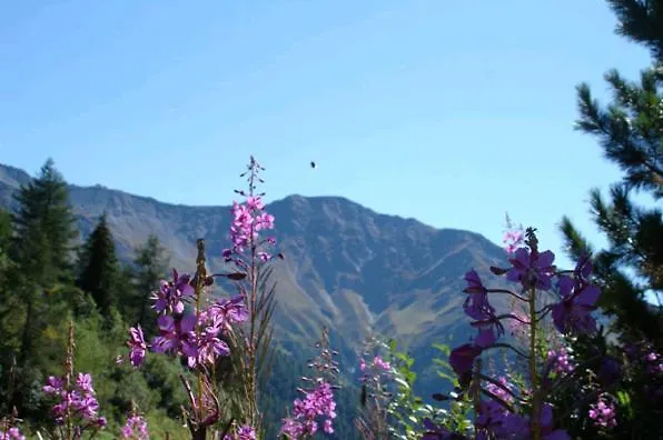 Bad Kleinkirchheim Skihomes Ottingerhof Ski In -Ski Out Apartments *