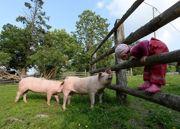 Skihomes Ottingerhof In -ski Out
