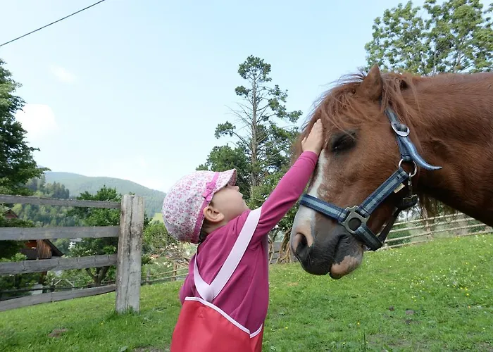 Apartment Bad Kleinkirchheim Skihomes Ottingerhof Ski In -Ski Out Apartments *