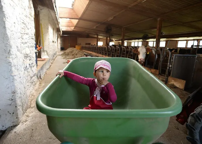 Apartment Bad Kleinkirchheim Skihomes Ottingerhof Ski In -Ski Out Apartments