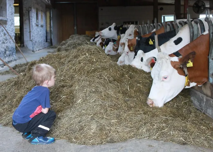 Bad Kleinkirchheim Skihomes Ottingerhof Ski In -Ski Out Apartments Bad Kleinkirchheim