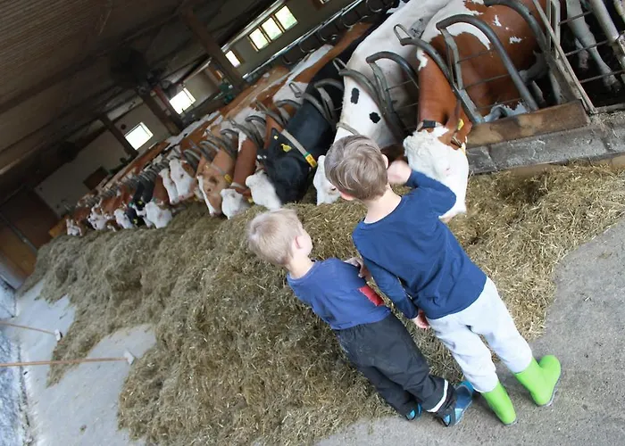 Apartment Bad Kleinkirchheim Skihomes Ottingerhof Ski In -Ski Out Apartments