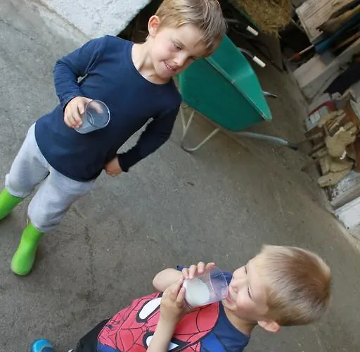 شقة Skihomes Ottingerhof In -ski Out باد كلينكيرشهايم