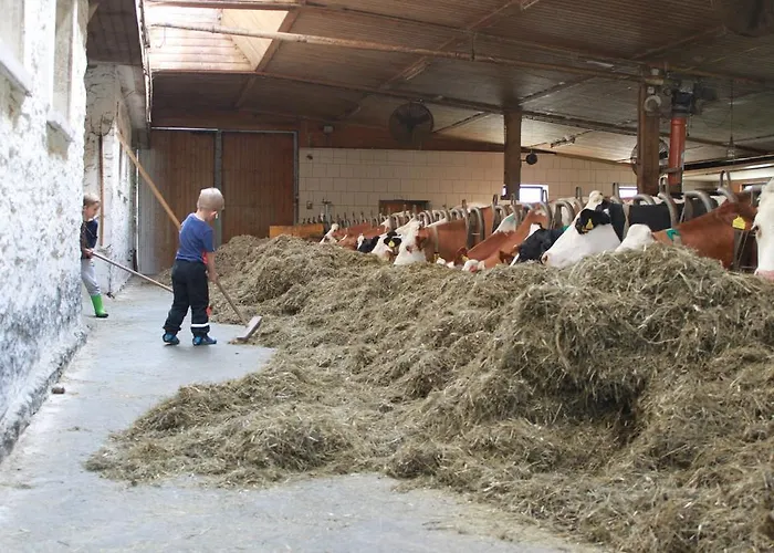 Bad Kleinkirchheim Skihomes Ottingerhof Ski In -Ski Out Apartments Bad Kleinkirchheim