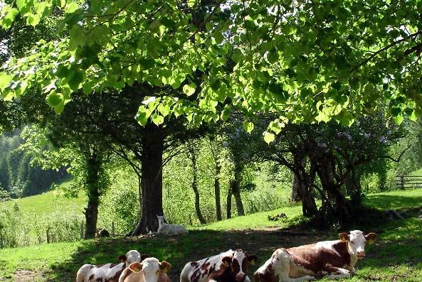 Apartment Bad Kleinkirchheim Skihomes Ottingerhof Ski In -Ski Out Apartments *