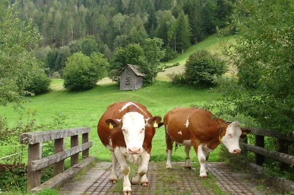 Apartment Bad Kleinkirchheim Skihomes Ottingerhof Ski In -Ski Out Apartments