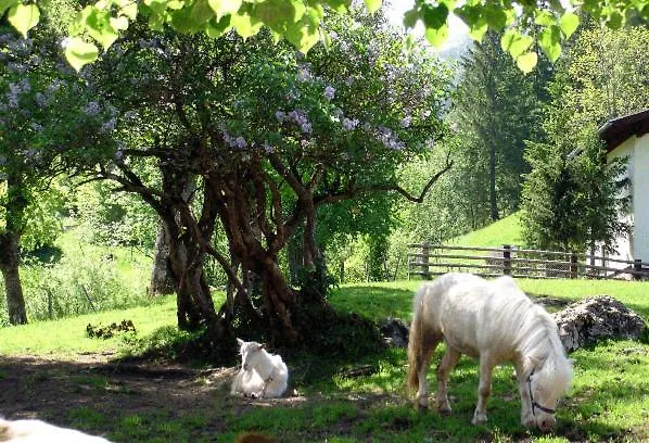 Bad Kleinkirchheim Skihomes Ottingerhof Ski In -Ski Out Apartments *