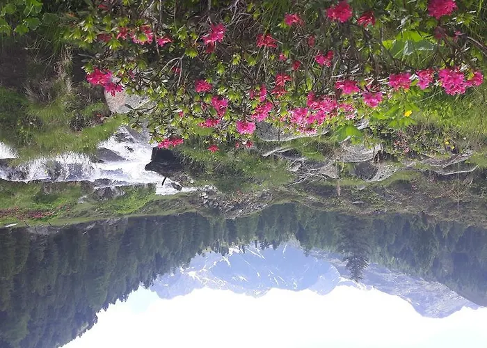 Bad Kleinkirchheim Skihomes Ottingerhof Ski In -Ski Out Apartments Apartment *