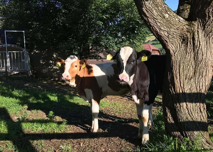 Skihomes Ottingerhof In -ski Out *