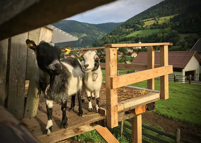 Apartment Bad Kleinkirchheim Skihomes Ottingerhof Ski In -Ski Out Apartments *