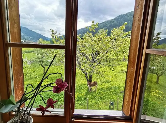 Skihomes Ottingerhof In -ski Out