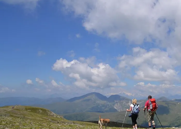 Bad Kleinkirchheim Skihomes Ottingerhof Ski In -Ski Out Apartments Apartment *