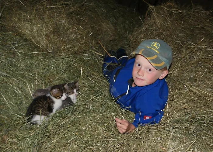 Bad Kleinkirchheim Skihomes Ottingerhof Ski In -Ski Out Apartments Apartment